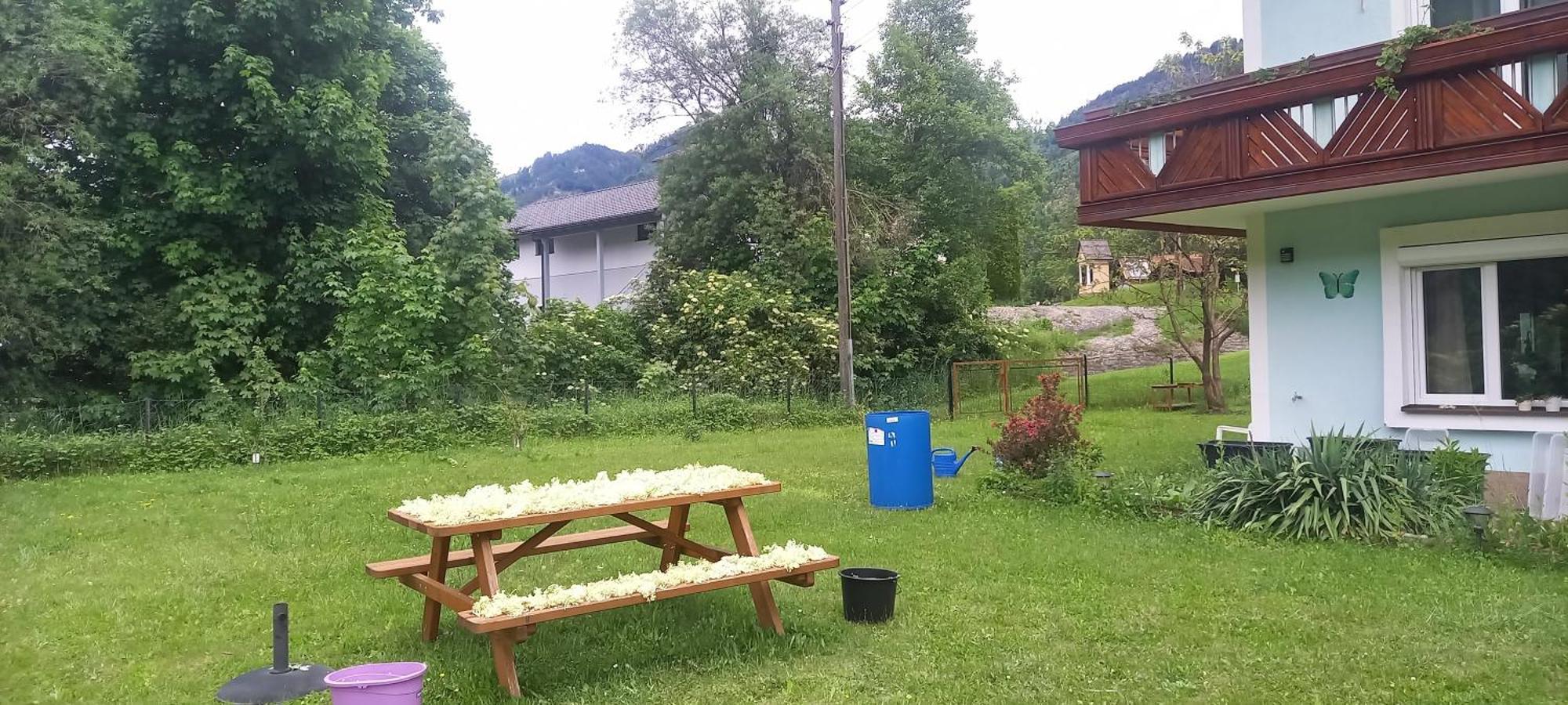 Alie Gusta Apartman Hermagor-Pressegger See Kültér fotó